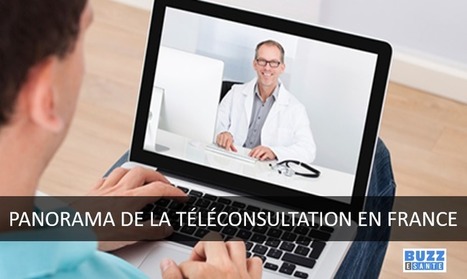 Panorama de la téléconsultation en France | Buzz e-sante | Scoop.it