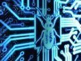 La NSA achète des vulnérabilités, y compris en France. Légalement ? | ICT Security-Sécurité PC et Internet | Scoop.it