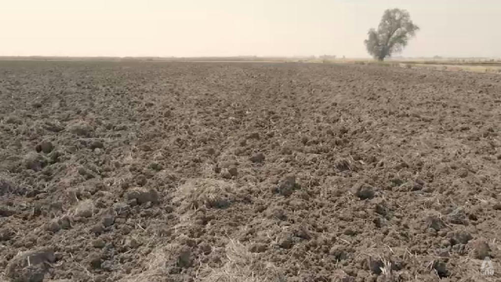USA : Knock-on effect of California’s dro...