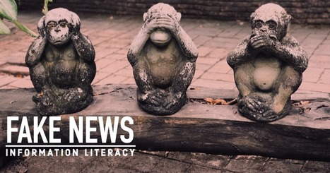 Information & Media Literacy for 2020 and Beyond | Capstone: An ESRM Coda | Scoop.it