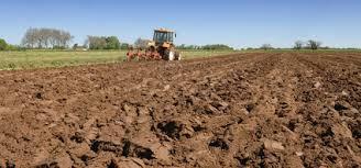 Travail ou non travail du sol ? Question pour une agriculture plus durable | Les Colocs du jardin | Scoop.it