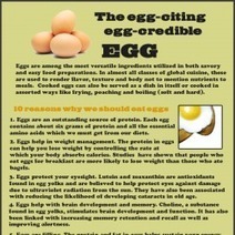 The egg-citing, egg-credible egg | Visual.ly | REAL World Wellness | Scoop.it