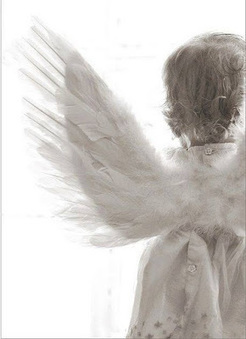 War and Peace by Adriana Janaina Poeta | The Unseen World | Scoop.it