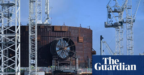 &pound;700m &lsquo;fish disco&rsquo; plan could save 90% of marine life, says Hinkley Point C study | Hinkley Point C | The Guardian | Microeconomics: IB Economics | Scoop.it