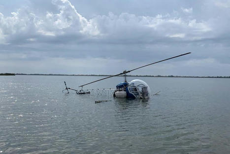 Montpellier : un hélicoptère en opération de démoustication s'écrase dans un étang | Variétés entomologiques | Scoop.it