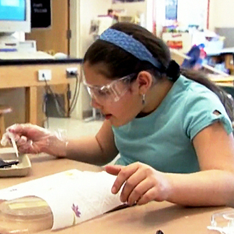 Integrated Studies | Critical and Creative Thinking for active learning | Scoop.it