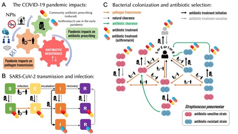 Exploration des facteurs influençant les schémas de résistance aux antibiotiques chez Streptococcus pneumoniae au cours de la pandémie COVID-19 de 2020 | Life Sciences Université Paris-Saclay | Scoop.it