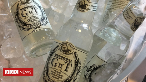 Could non-alcoholic gin ever be as good as the real thing? | Microeconomics: IB Economics | Scoop.it