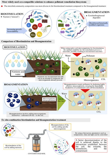 Microbial remediation of recalcitrant pollutants in soil and geo-environmental engineering systems | frn | RMH | Scoop.it