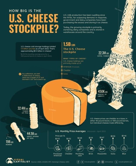 Quelle est la taille du stock de fromage américain ? | Lait de Normandie... et d'ailleurs | Scoop.it
