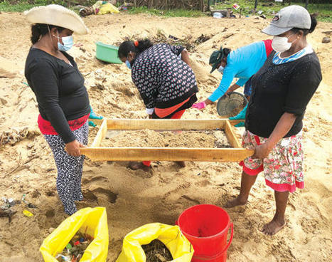 MEPA urged to ensure safety of workers engaged in clearing toxic debris from X-Press disaster &ndash; The Island / le 24.02.2022 | Pollution accidentelle des eaux (+ d&eacute;chets plastiques) | Scoop.it