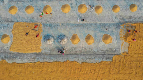 FOOD SECURITY: How the Iran war has sowed panic among farmers&nbsp; | ALIMENTATIONS | Scoop.it