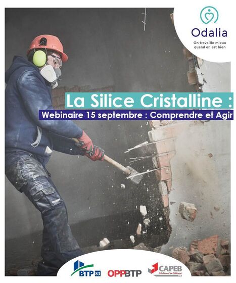 L’exposition aux poussières de silice cristalline dans le BTP |   webinaire Odalia | Prévention du risque chimique | Scoop.it