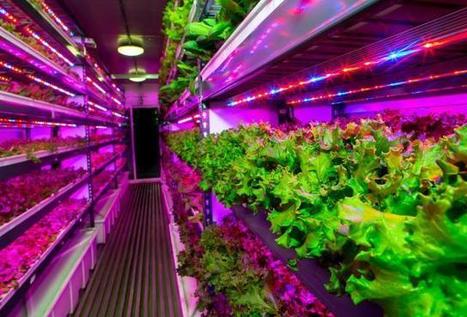 Technology Hits The Fields | INNOVATIONS | Scoop.it