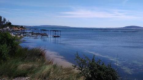 De Sète à Marseillan, œnotour sur les rives de l’Étang de Thau | Gastronomie - Oenotourisme en Languedoc | Scoop.it