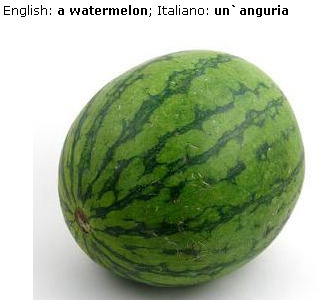 Albums by Internet Polyglot | Facebook | Learn Italian | Scoop.it