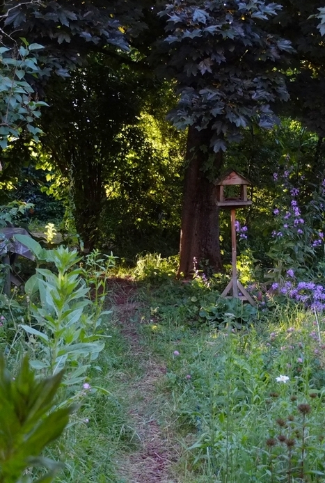 Inventaire entomologique d'un jardin de lotissement en banlieue lyonnaise | Les Colocs du jardin | Scoop.it