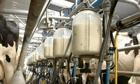 Les secteurs laitiers européen et américain stimulent la reprise du marché laitier | Lait de Normandie... et d'ailleurs | Scoop.it