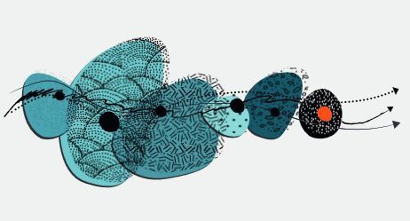 Pesticides et effets sur la santé : un lien avéré selon les nouvelles données de l'expertise collective réalisée par l'Inserm | EntomoNews | Scoop.it