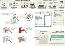 Expertise scientifique INRAE-CNRS sur les plastiques utilisés en agriculture et pour l’alimentation | Alimentation Santé Environnement | Scoop.it