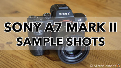 Gallery of Sony A7 II Photo Samples (RAW & SOOC JPGs) | Mirrorless Cameras | Scoop.it