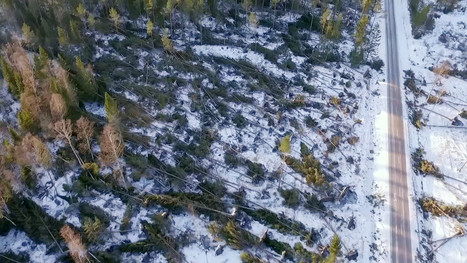 Myrskyn aiheuttamien s&auml;hk&ouml;vaurioiden korjaus voi kest&auml;&auml; Ahvenanmaalla useamman viikon &ndash; video n&auml;ytt&auml;&auml; laajoja tuhoja p&auml;&auml;saarella | Yle Uutiset | yle.fi | 1Uutiset - Lukemisen t&auml;hden | Scoop.it