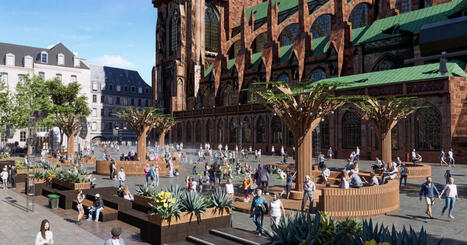 Strasbourg. Pour les animations d'été, la Ville fait pousser une petite forêt sur la place du Château | Strasbourg Eurométropole Actu | Scoop.it