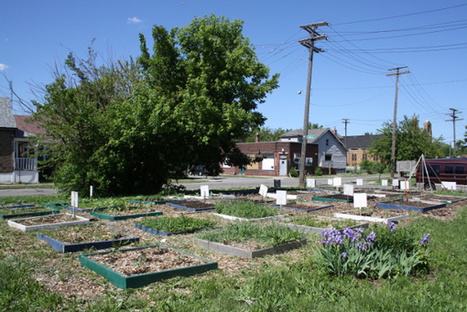 Sortir du mythe de la panacée. Les ambiguïtés de l’agriculture urbaine à Détroit = Demystifying urban agriculture in Detroit - Métropolitiques | ESPACES VEGETALISES URBAINS | Scoop.it