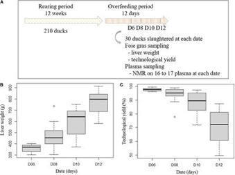[INP-INRAE] Identification of Plasmatic Biomarkers of Foie Gras Qualities in Duck by Metabolomics | Publications scientifiques | Scoop.it