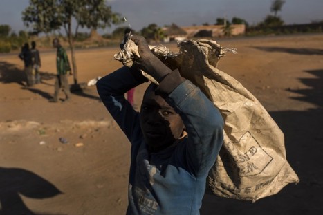 Apple cracks down further on cobalt supplier in Congo as child labor persists | Sustainable Procurement & CSR News - ICT Industry | Scoop.it