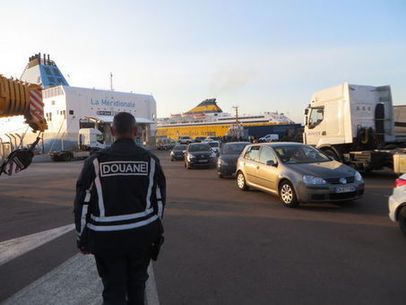 Pour contrer la bact&eacute;rie &laquo;&nbsp;Xylella fastidiosa&nbsp;&raquo;, la Corse interdit l&rsquo;introduction de v&eacute;g&eacute;taux | Biodiversit&eacute; | Scoop.it