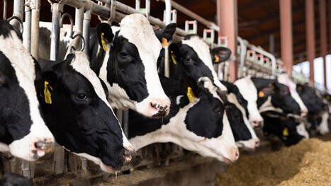 Qu&rsquo;est-ce que le Carbonom&egrave;tre du lait ? | Elevage et environnement | Scoop.it