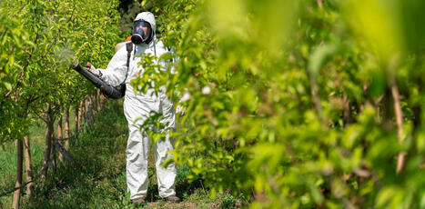 Pesticides : quand les équipements censés protéger exposent davantage | Toxique, soyons vigilant ! | Scoop.it