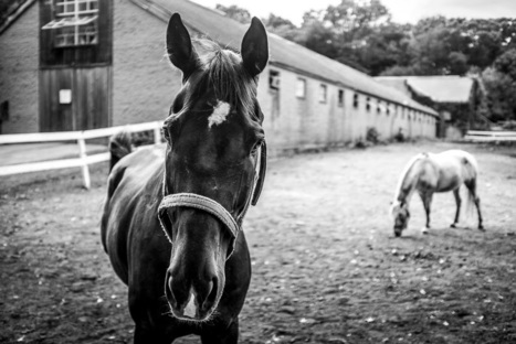 Seeing Better is Black and White (The Fuji Monochrom) | James Conley | Fujifilm x200 or X100T | Scoop.it