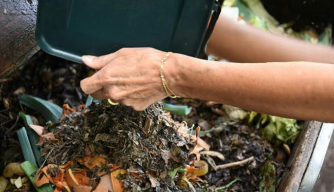 En appartement, comment trier ses biodéchets sans se décourager