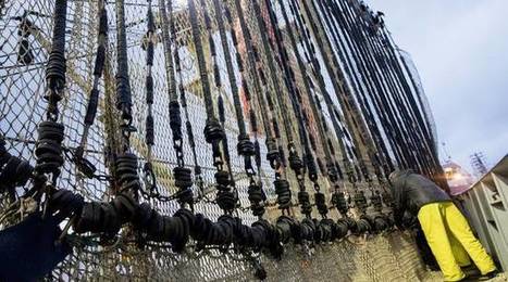 Les Pays-Bas vont contester l’interdiction de la pêche électrique par l’Union européenne | LE GRAND NORD | Scoop.it
