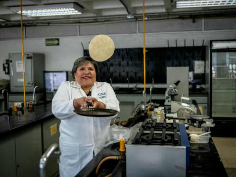 INNOVATIONS : Au Mexique, une tortilla expérimentale, longue conservation sans réfrigérateur | Revue de presse - Club DEMETER | Scoop.it