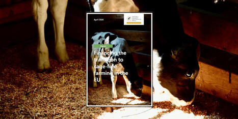 Financing the transition to cage‑free FARMING in the EU | CIHEAM Press Review | Scoop.it