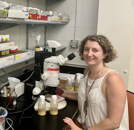 New team in the Department of Genome Biology | I2BC Paris-Saclay | Scoop.it
