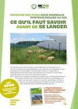 Produire des ovins sous panneaux photovoltaïques au sol - Inn'ovin | Pour innover en agriculture | Scoop.it