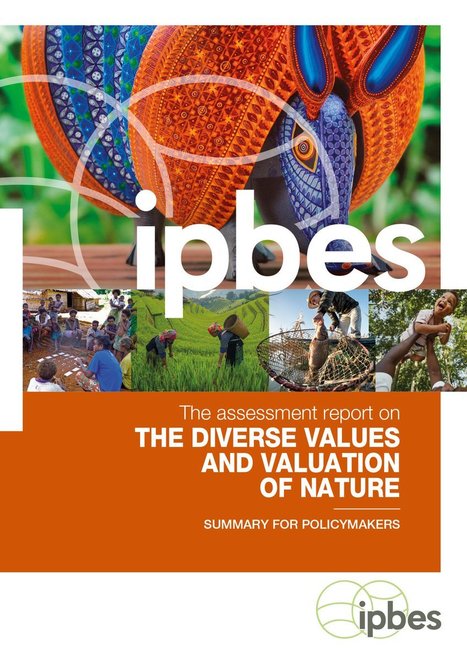 Rapport d'évaluation sur l’estimation des valeurs de la nature et les différentes valeurs de la nature - IPBES Values Assessment | Insect Archive | Scoop.it