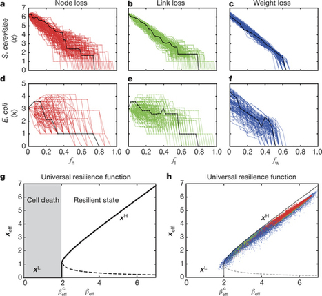 Universal resilience patterns in complex networks | Complexity and Random Overlaps | Scoop.it
