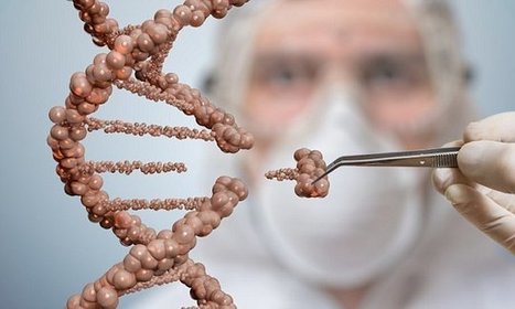Scientists who claimed Crispr caused mutations now admit they CAN'T replicate their results  | Daily | Animal Models - GEG Tech top picks | Scoop.it