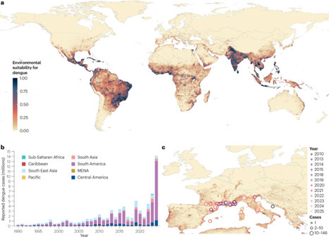 Dengue virus infection | Nature Reviews Disease Primers | Immunology | Scoop.it