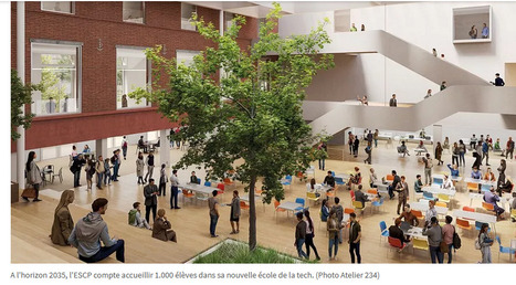 &laquo;&nbsp;Dans vingt ans, il n'y aura plus de diff&eacute;rence&nbsp;&raquo;&nbsp;: entre &eacute;coles de commerce et d'ing&eacute;nieurs, les fronti&egrave;res sont de plus en plus poreuses | ENSAIT DOC | Scoop.it