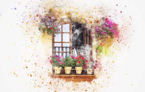 Des plantes d'extérieur pour donner du charme à votre balcon | Immobilier | Scoop.it