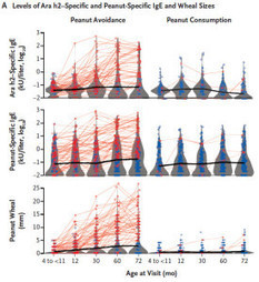 Another LEAP Forward: Testing the Stability of Peanut Tolerance after Early Peanut Exposure - Now@NEJM | Allergy (and clinical immunology) | Scoop.it