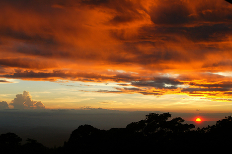 Clouds Can Help Find Threatened And Endangered Species | Coastal Restoration | Scoop.it