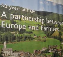 L’Europe du Sud condamnée pour non-respect de la PAC - Econostrum | Agriculture et Alimentation Durable Méditerranéenne | Scoop.it