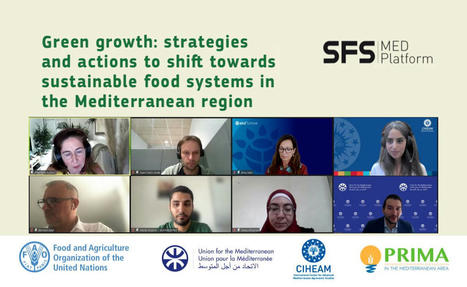 CIHEAM : Des défis au changement : un webinaire SFS-MED sur les systèmes agroalimentaires plus verts en Méditerranée | CIHEAM Press Review | Scoop.it
